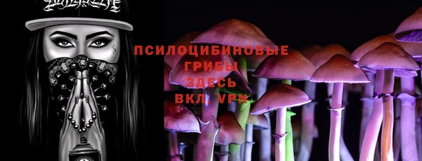 MDMA Краснослободск