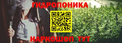 гашик Кунгур