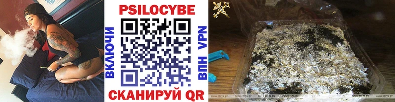 ссылка на мегу зеркало  купить наркотики сайты  Моздок  Псилоцибиновые грибы Magic Shrooms 