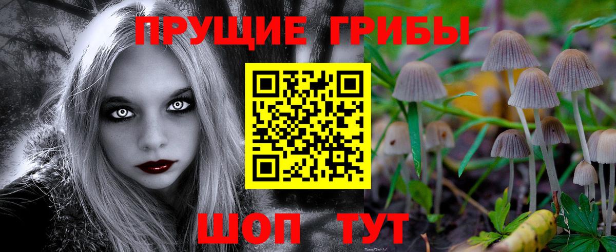 Моздок  магазин продажи   Вход с VPN  Псилоцибиновые грибы MAGIC MUSHROOMS 