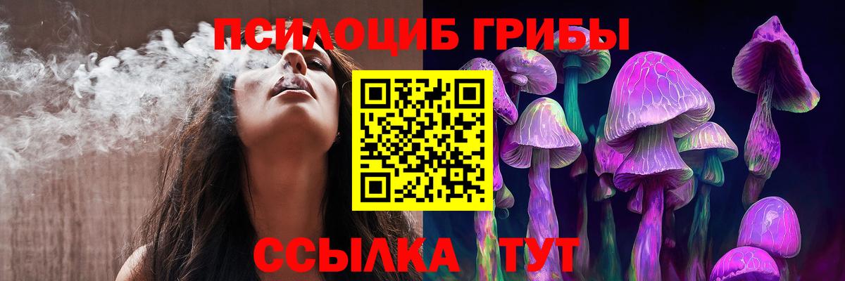 Псилоцибиновые грибы мицелий Моздок